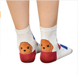 3D Dog  Cartoon Socks Offer