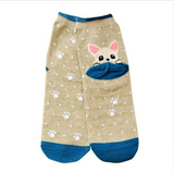 3D Dog  Cartoon Socks Offer