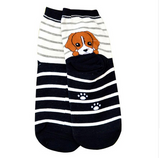 3D Dog  Cartoon Socks Offer