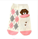 3D Dog  Cartoon Socks Offer