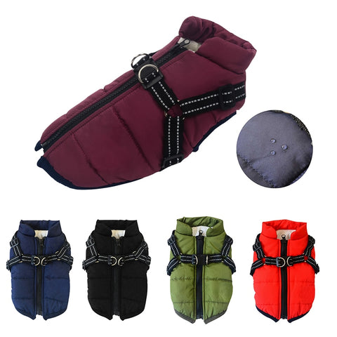 Comfy 2021 Dog Vest