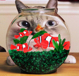 Robofish Aquarium Ornament Decor and Cat or Children's Toy Offer