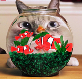 Robofish Aquarium Ornament Decor and Cat or Children's Toy