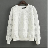 Round Neck Lace Blouse