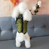 Comfy 2021 Dog Vest