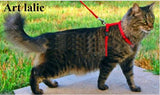 Cat Harness And Leash