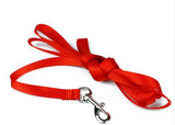 Cat Harness And Leash