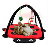 Cat Mobile Activity Playing Bed