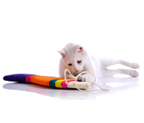 Fish Shape Sisal Hemp Cat Scratch Board Offer