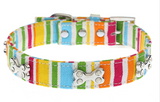 Colorful Canvas Pet Dog Collar Free Plus
