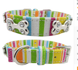 Colorful Canvas Pet Dog Collar Free Plus