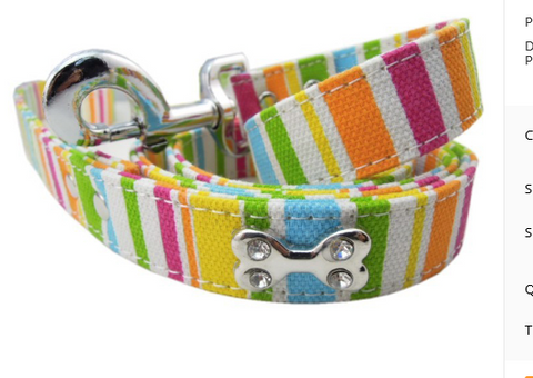 Colorful Dog Leash