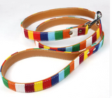 Colorful Dog Leash