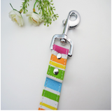 Colorful Dog Leash