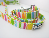 Colorful Dog Leash