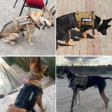 Tactical Dog Harness German Shepherd Pet Dog Harness Vest Nylon Bungee Dog Leash Harness For Small Large Dogs
