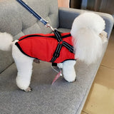 Comfy 2021 Dog Vest