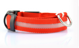 LED Pet Dog Collar, Night Safety Flashing Glow In The Dark Offer