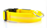 LED Pet Dog Collar, Night Safety Flashing Glow In The Dark Offer