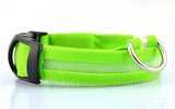 LED Pet Dog Collar, Night Safety Flashing Glow In The Dark Offer