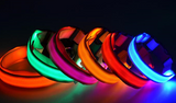 LED Pet Dog Collar, Night Safety Flashing Glow In The Dark Offer