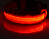 LED Pet Dog Collar, Night Safety Flashing Glow In The Dark Offer