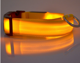 LED Pet Dog Collar, Night Safety Flashing Glow In The Dark Offer