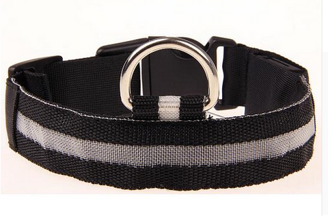 LED Pet Dog Collar, Night Safety Flashing Glow In The Dark Offer