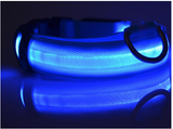 LED Pet Dog Collar, Night Safety Flashing Glow In The Dark Offer