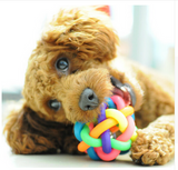 NEW FUN AND SQUEAKY TOYS FOR YOUR FAVORITE DOG OFFER