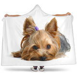 Yorkie