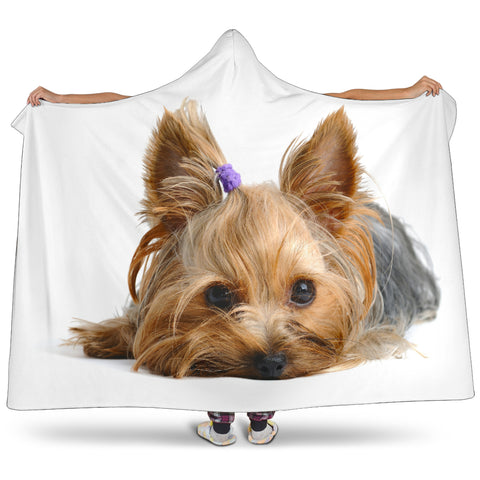 Yorkie