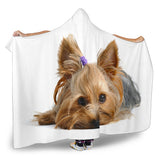 Yorkie