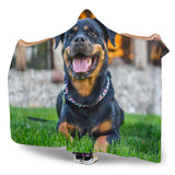 Rottweiler