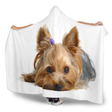 Yorkie