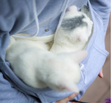Kangaroo Cat Hoodie