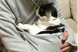 Kangaroo Cat Hoodie