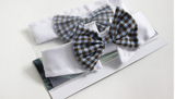 Bow tie Collar Holiday Decoration for Dogs and Cats Offer
