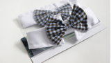 Bow tie Collar Holiday Decoration for Dogs and Cats