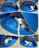 Incredible Portable Swimming Pool and Play House Tent for Children