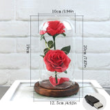 Enchanted Rose in a Glass Dome with Led Light