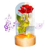 Enchanted Rose in a Glass Dome with Led Light