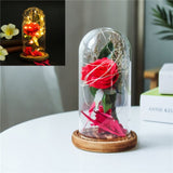 Enchanted Rose in a Glass Dome with Led Light