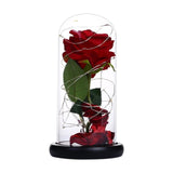 Enchanted Rose in a Glass Dome with Led Light