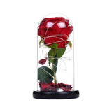 Enchanted Rose in a Glass Dome with Led Light