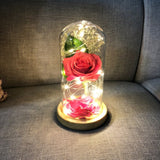 Enchanted Rose in a Glass Dome with Led Light