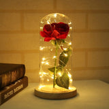 Enchanted Rose in a Glass Dome with Led Light