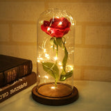 Enchanted Rose in a Glass Dome with Led Light