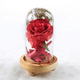 Enchanted Rose in a Glass Dome with Led Light