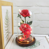 Enchanted Rose in a Glass Dome with Led Light